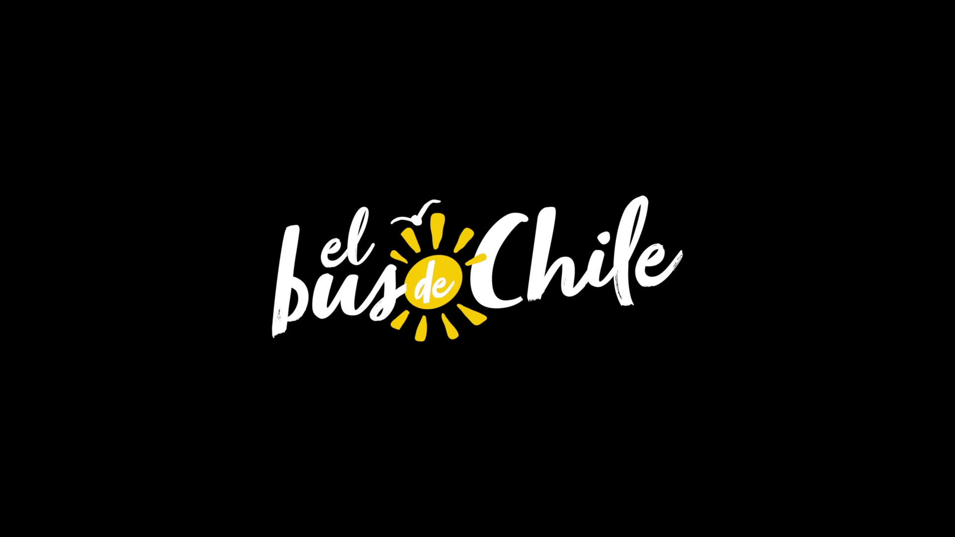 Conectando el país con la flota y el servicio que definen nuestra identidad.