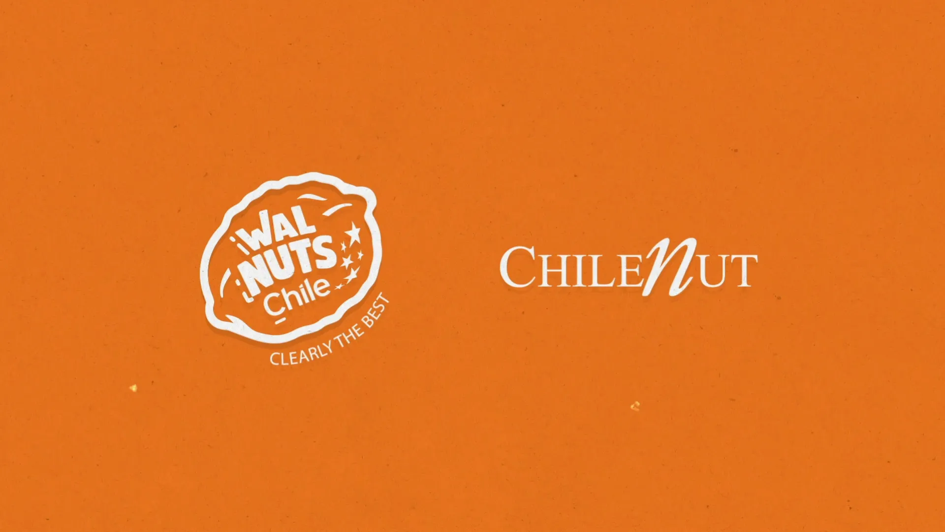 Potenciando la industria de la nuez chilena con los más altos estándares de calidad global.